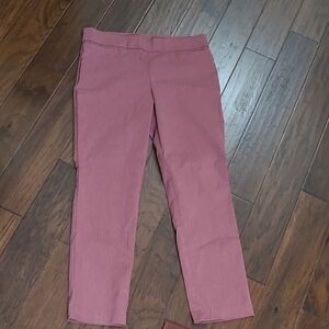 Kim Roger's women's pullon pants in a reddish brick color size 14